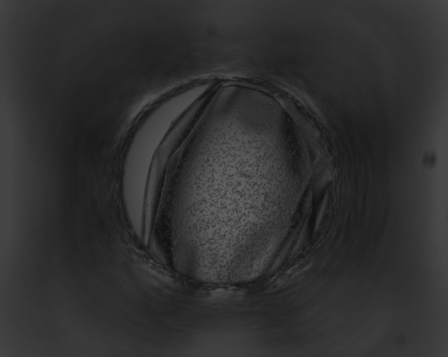 X0000091901160200710031156