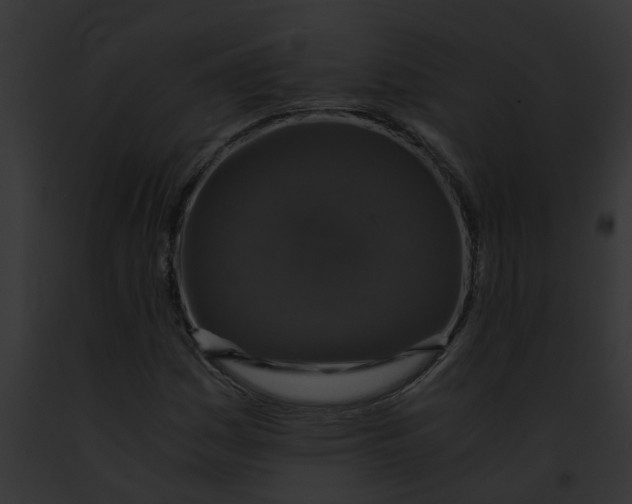 X0000091901161200710031156