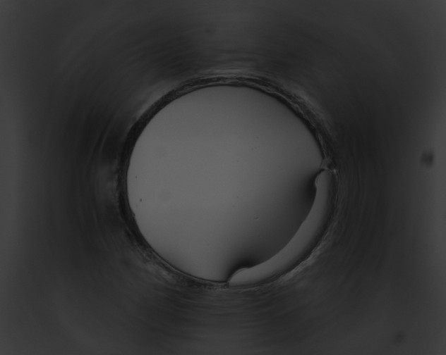 X0000091901162200710031156