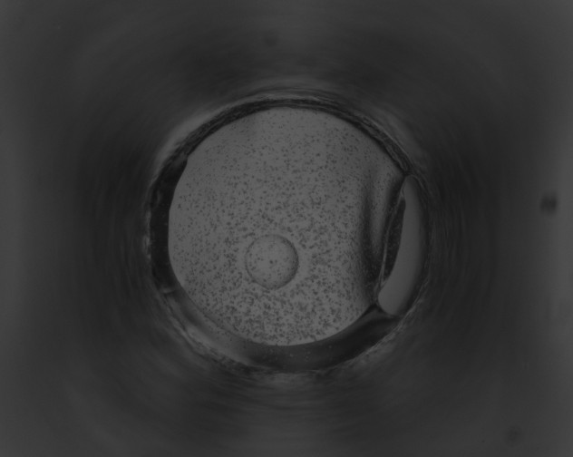 X0000091901164200710031156