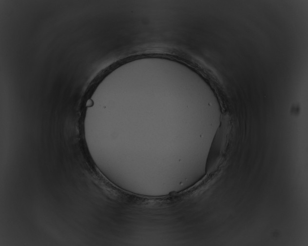 X0000091901166200710031156