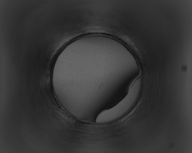 X0000091901167200710031156