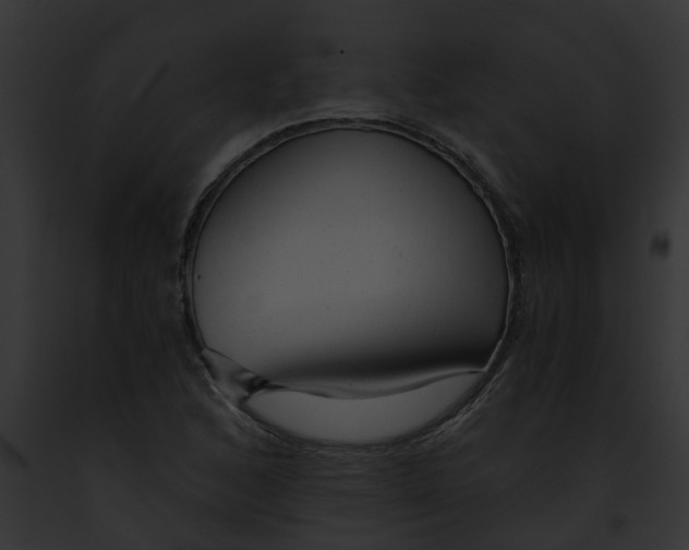 X0000091901168200710031156