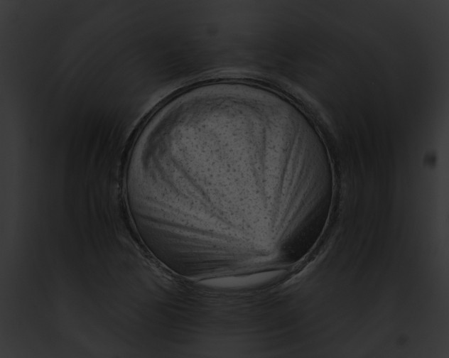 X0000091901170200710031156