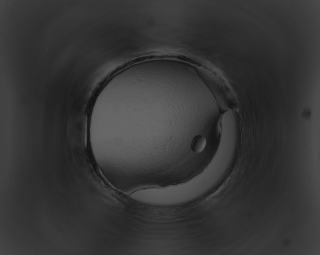 X0000091901171200710031156