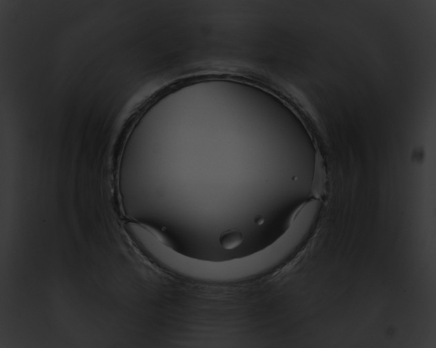 X0000091901172200710031156