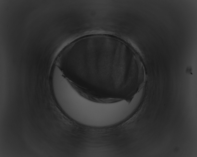 X0000091901173200710031156