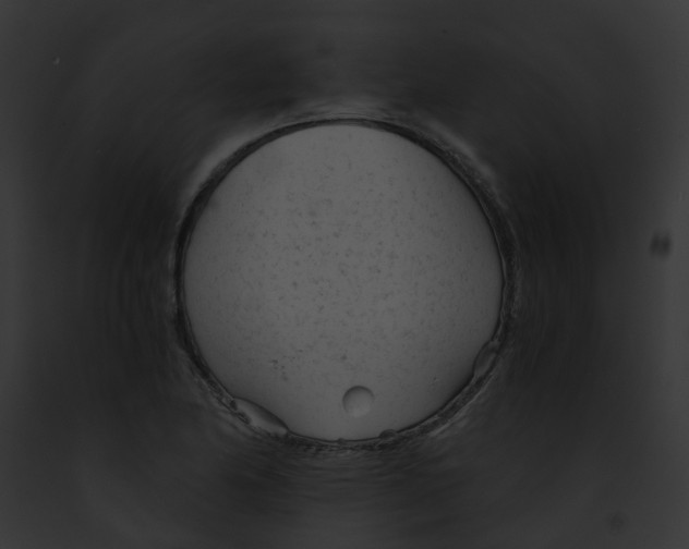 X0000091901174200710031156