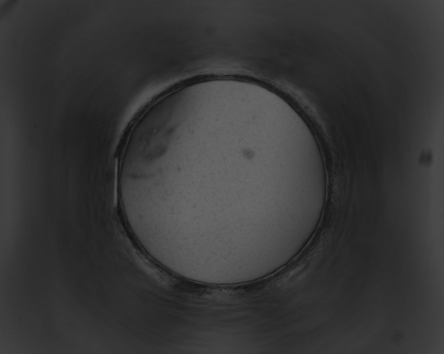 X0000091901175200710031156