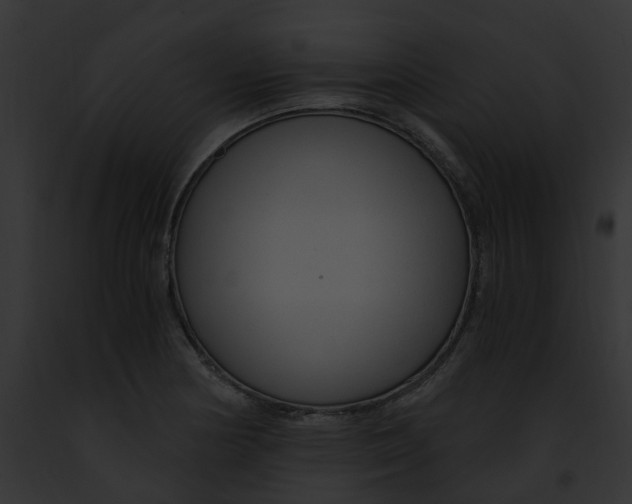 X0000091901178200710031156