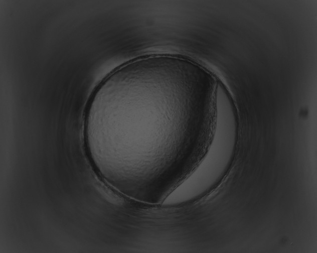 X0000091901179200710031156