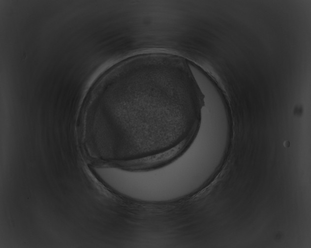 X0000091901181200710031156