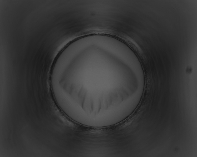 X0000091901182200710031156