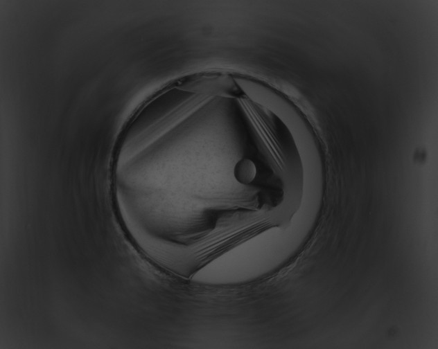 X0000091901183200710031156