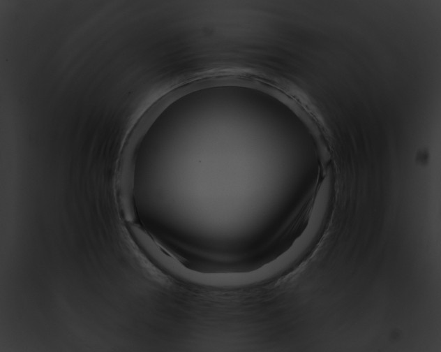 X0000091901186200710031156