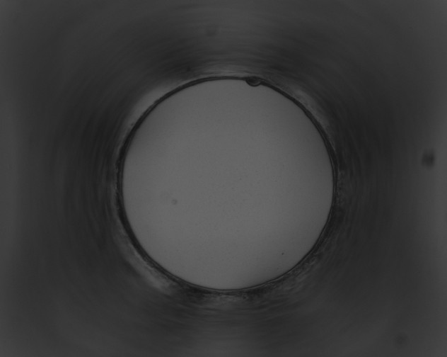 X0000091901187200710031156