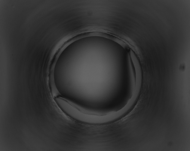 X0000091901188200710031156