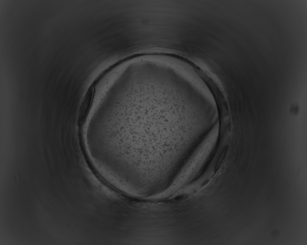 X0000091901189200710031156