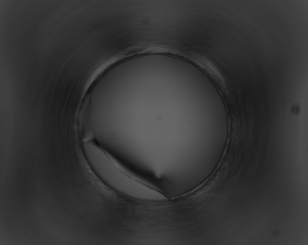 X0000091901190200710031156