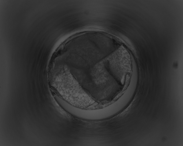 X0000091901192200710031156