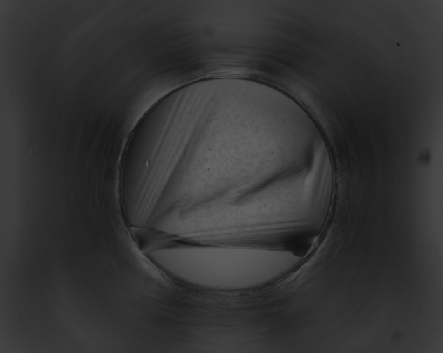 X0000091901194200710031156