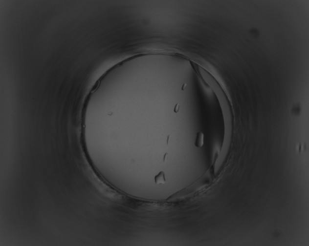 X0000091901195200710031156