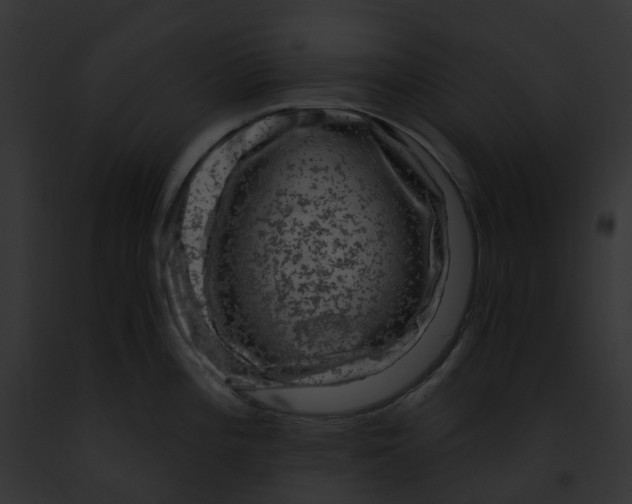 X0000091901196200710031156