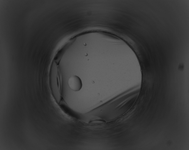 X0000091901199200710031156