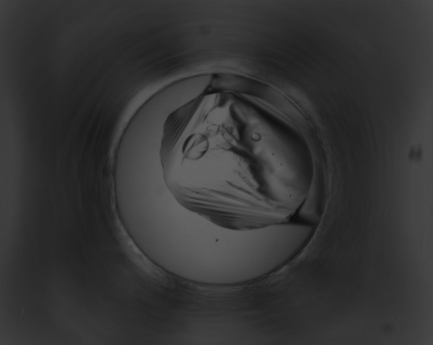 X0000091901200200710031156