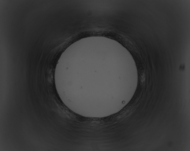 X0000091901204200710031155