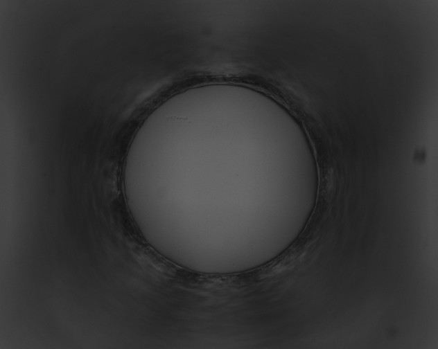 X0000091901205200710031155