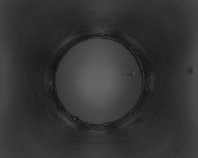 X0000091901206200710031155