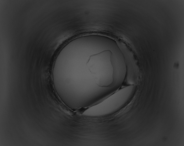 X0000091901210200710031155