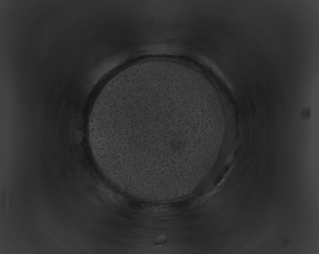 X0000091901213200710031155