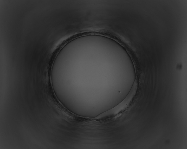 X0000091901214200710031155