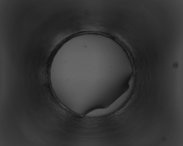 X0000091901215200710031155