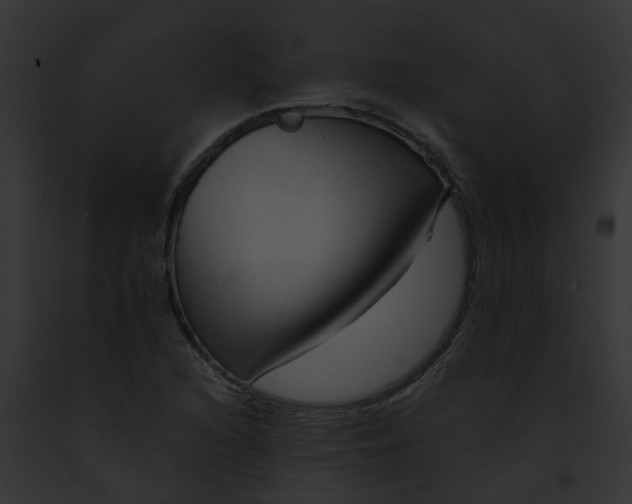 X0000091901216200710031155