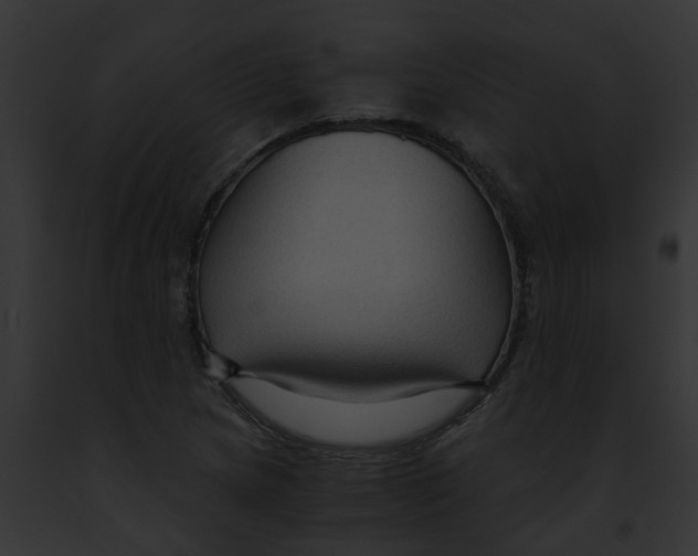 X0000091901217200710031155