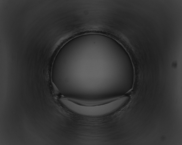 X0000091901218200710031155