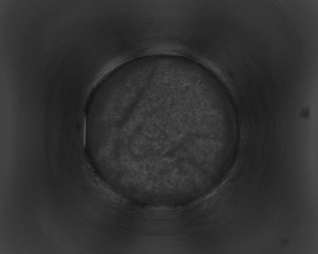 X0000091901219200710031155