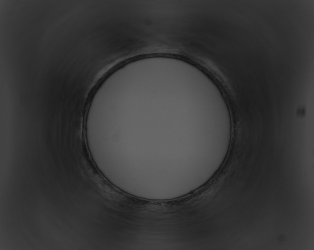 X0000091901220200710031155