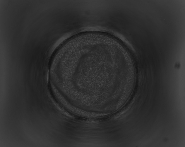 X0000091901221200710031155