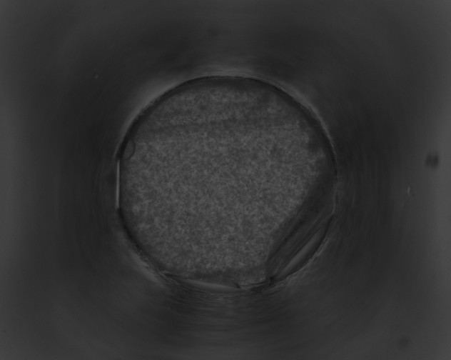 X0000091901223200710031155