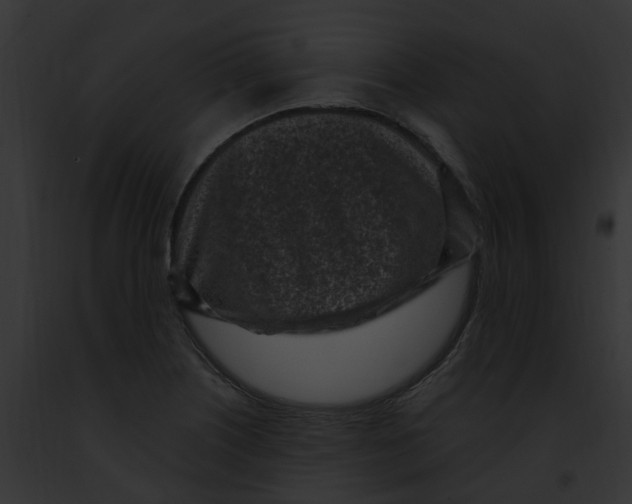 X0000091901226200710031155