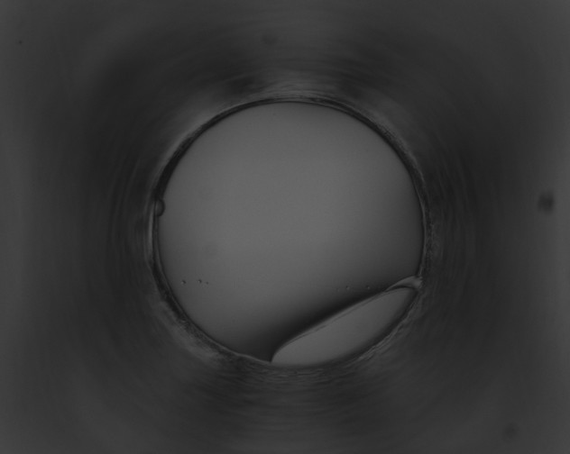 X0000091901227200710031155