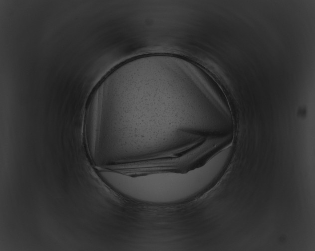 X0000091901228200710031155