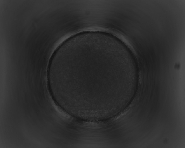 X0000091901229200710031155