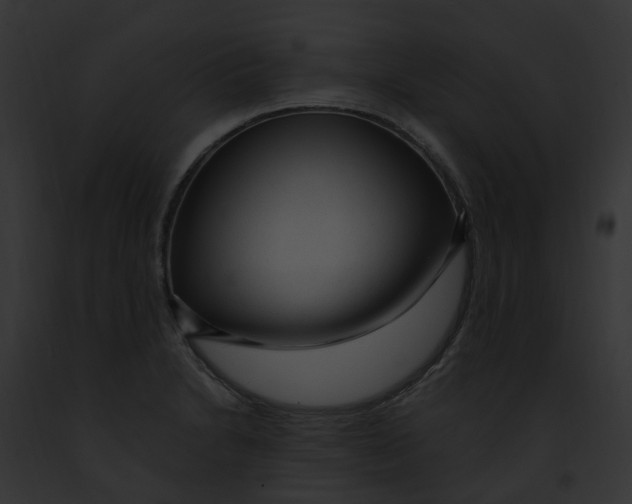 X0000091901230200710031155