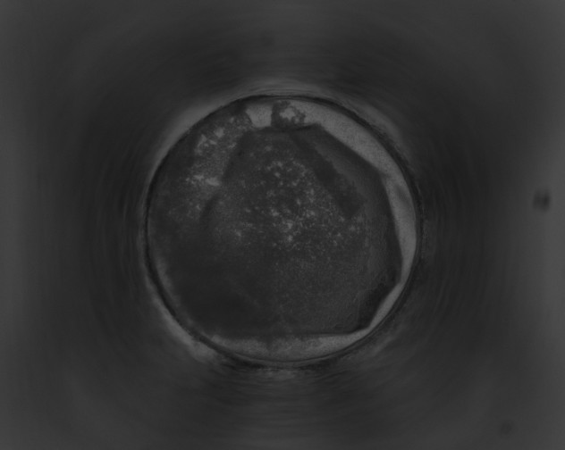 X0000091901231200710031155