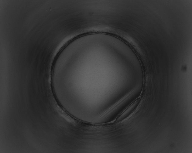 X0000091901232200710031155